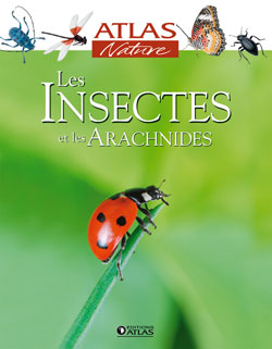 Les insectes et les arachnides