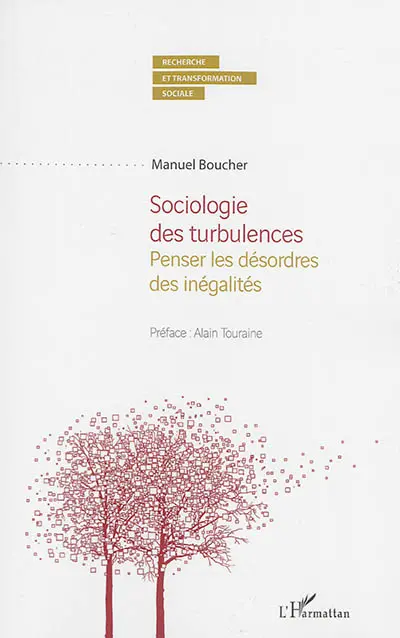 Sociologie des turbulences : penser les désordres des inégalités
