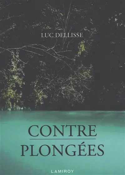 Contre-plongées