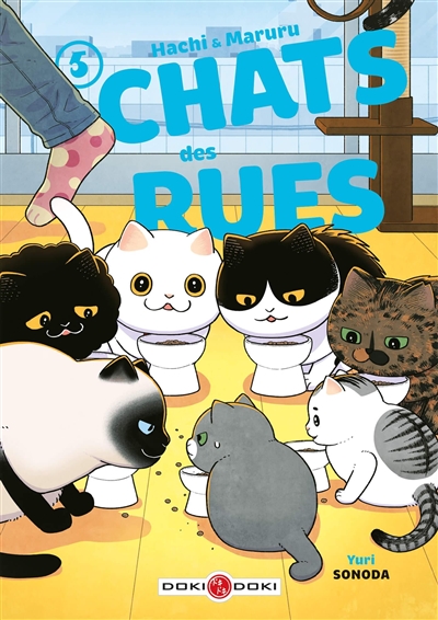 hachi & maruru : chats des rues. vol. 5