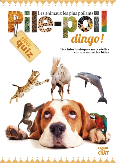 Pile-poil dingo ! : les animaux les plus poilants : des infos loufoques mais réelles sur nos amies les bêtes