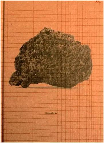 Arturo Hernández Alcázar Escombro