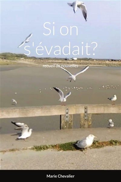 Si on s'évadait ? : recueil...