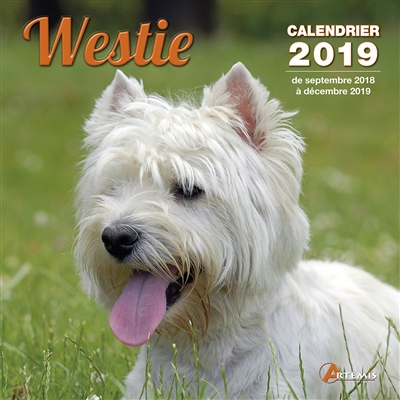 Westie : calendrier 2019 :...