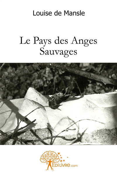 Le pays des anges sauvages