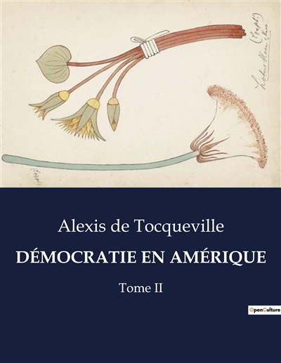 DEMOCRATIE EN AMERIQUE : Tome II