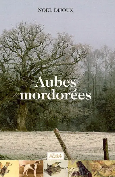 Aubes mordorées