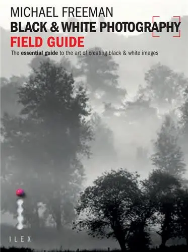 Black & White Photography Field Guide
