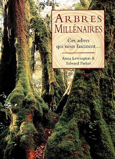 Arbres millénaires : ces arbres qui nous fascinent...