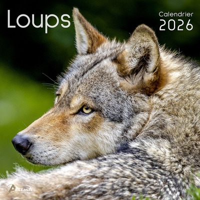 Loups : calendrier 2026 :...
