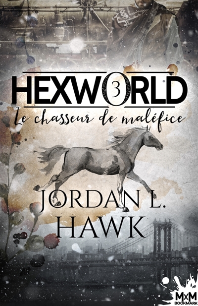 Le chasseur de maléfice : Hexworld, T3