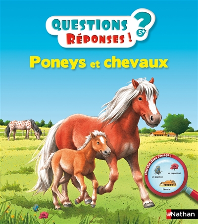 Chevaux et poneys