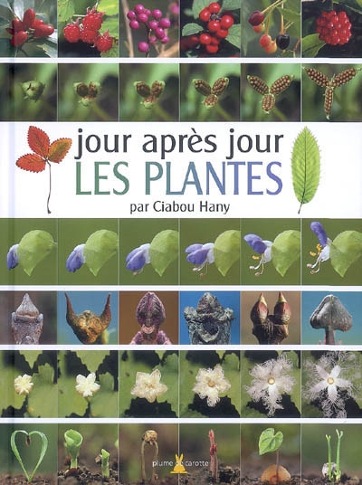 jour aprés jour Les plantes