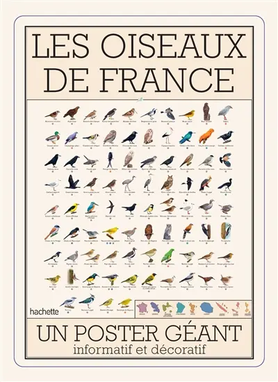 Les oiseaux de France : un poster géant informatif et décoratif