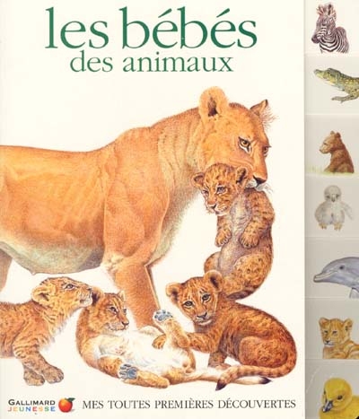 Les bébés des animaux