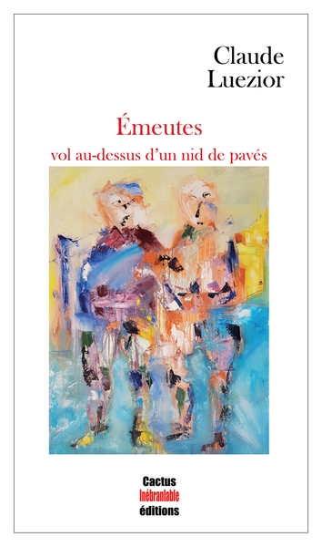 Emeutes : vol au-dessus d'un nid de pavés