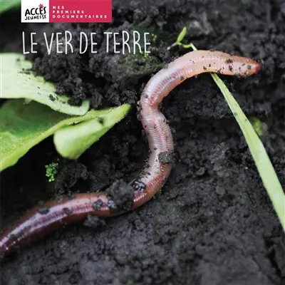 Le ver de terre