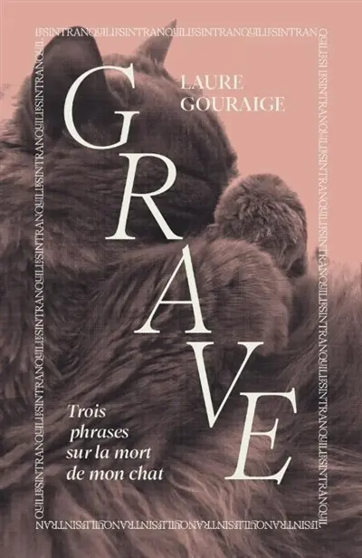 Grave : trois phrases sur la mort de mon chat