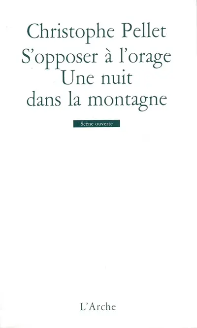 S'opposer à l'orage. Une nuit dans la montagne