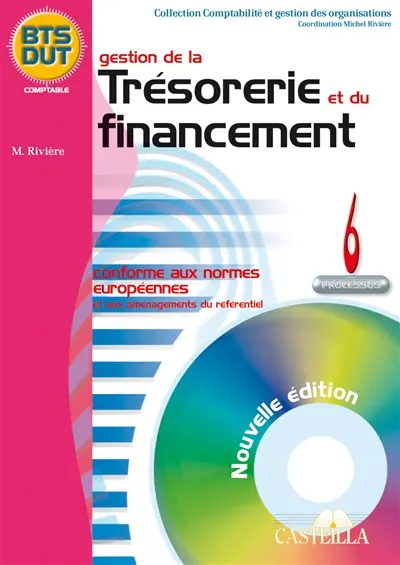 Gestion de la trésorerie et du financement : processus 6, BTS-DUT comptable