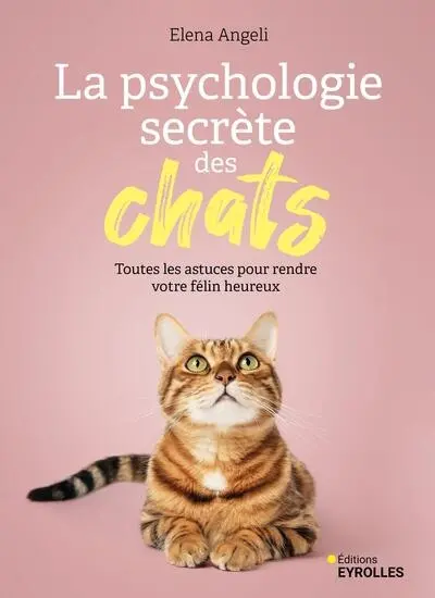 La psychologie secrète des chats : toutes les astuces pour rendre votre félin heureux