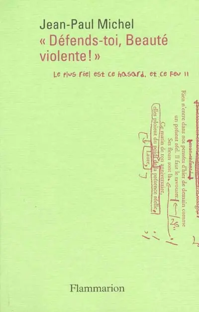 Le plus réel est ce hasard, et ce feu. Vol. 2. Défends-toi, beauté violente : intimations et expériences, 1985-2000
