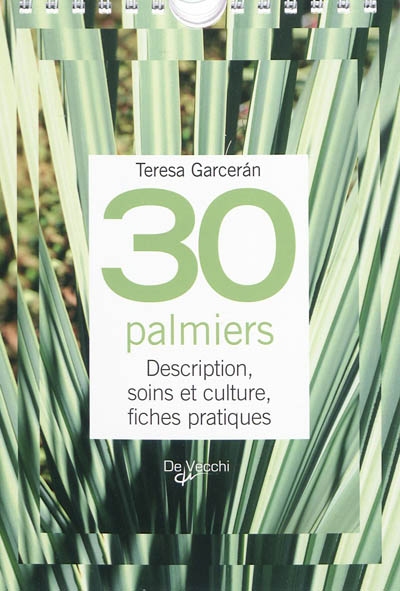 30 palmiers : description, soins et culture, fiches pratiques