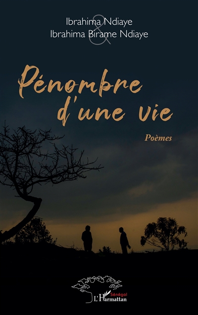 Pénombre d'une vie : poèmes