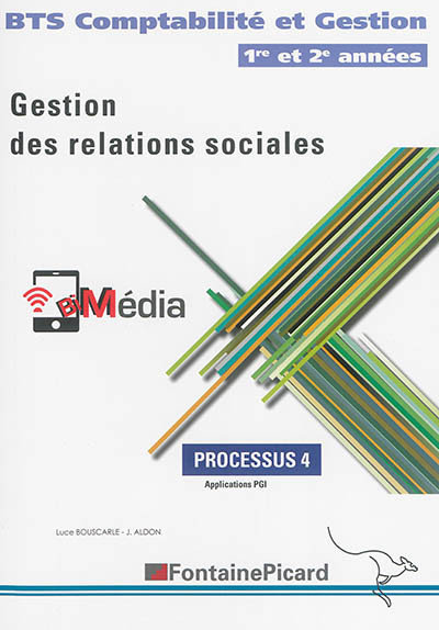 Gestion des relations sociales : BTS comptabilité et gestion, 1re et 2e années : processus 4, application PGI