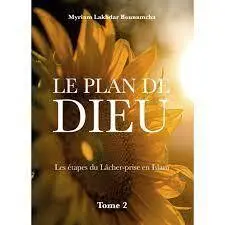 Le plan de Dieu. Vol. 2