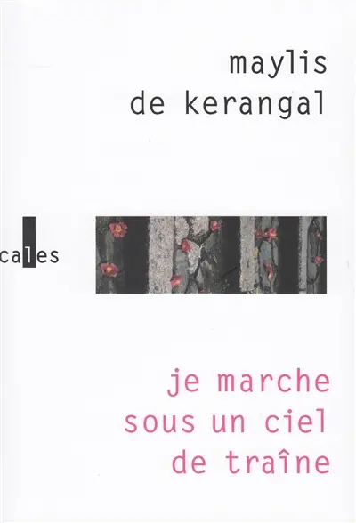 Je marche sous un ciel de traîne