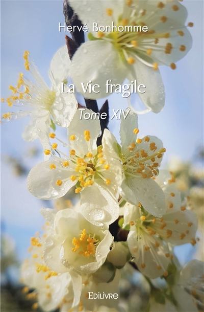 La vie fragile : Tome XIV