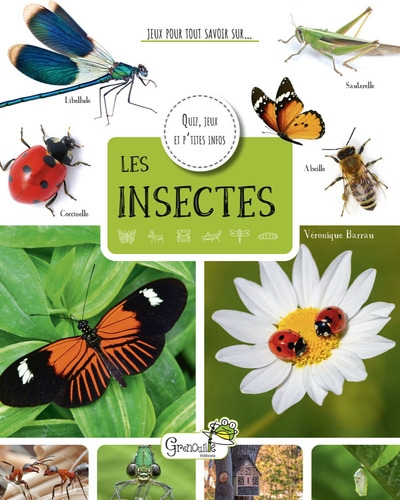Les insectes : quiz, jeux et p'tites infos