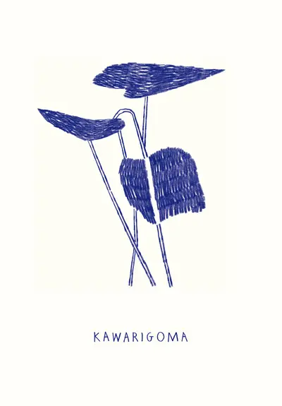 Kawarigoma