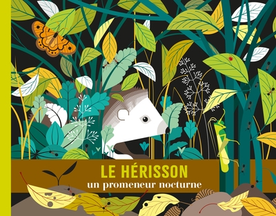 Le hérisson : un promeneur...