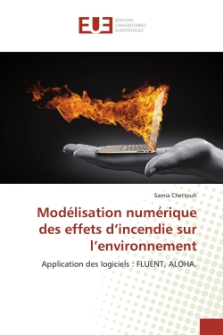 Modélisation numérique des...