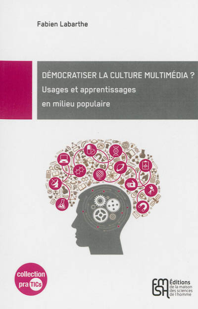 Démocratiser la culture multimédia ? : usages et apprentissages en milieu populaire
