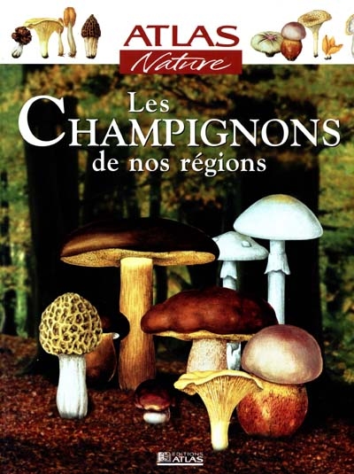 Les champignons de nos régions