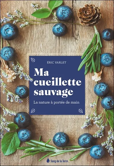 Ma cueillette sauvage : la nature à portée de main