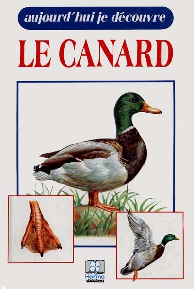 Aujourd'hui je découvre le canard