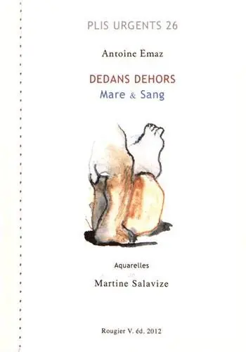 Dedans dehors : mare & sang