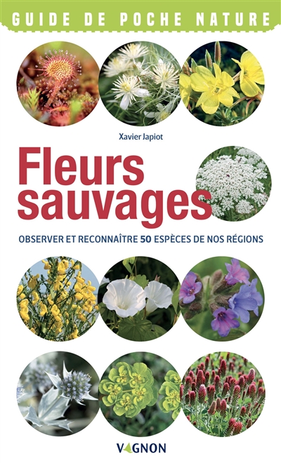 Fleurs sauvages : observer et reconnaître 50 espèces de nos régions