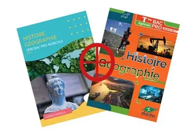 Histoire géographie : pack 1re et terminale bac pro agricole : module MG2