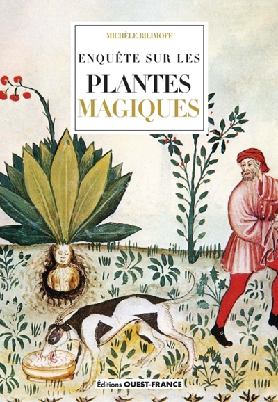 Enquête sur les plantes magiques