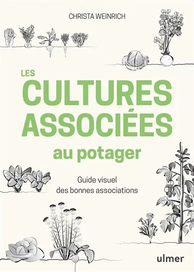 Les cultures associées au potager : guide visuel des bonnes associations