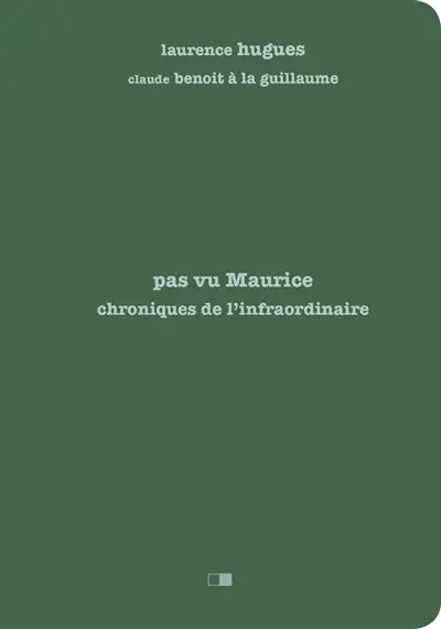 Pas vu Maurice : chroniques de l'infraordinaire