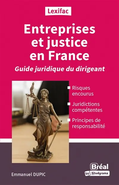 Entreprises et justice en France : guide juridique du dirigeant : risques encourus, juridictions compétentes, principes de responsabilité