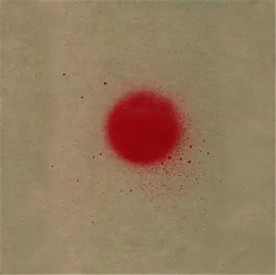 Stephen Gill Archaeology in Reverse