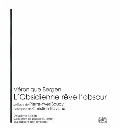 L'obsidienne rêve l'obscur