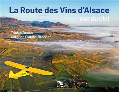 La route des vins d'Alsace vue du ciel